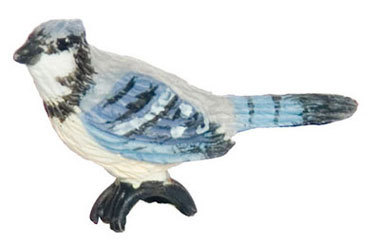 Wild Bird, Blue &amp; Black