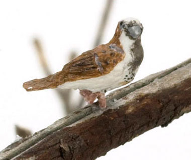 Sparrow