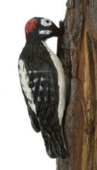 Woodpecker