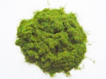 Hairy Grass No. 1 Spring