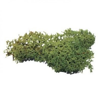 Lichen 20grams - Dark Green
