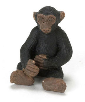 Chimpanzee
