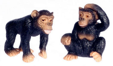 Chimpanzee Twins