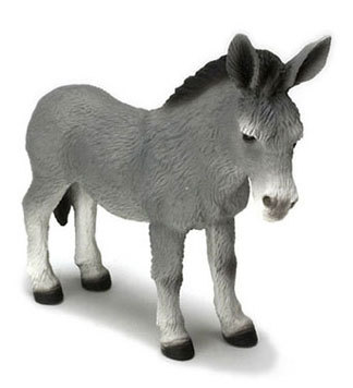 Donkey
