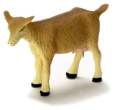 Goat