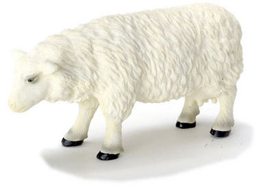 Sheep Female