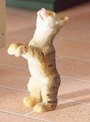 Cat, Hungry Harry