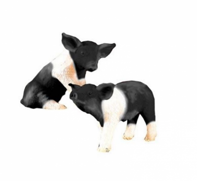 Piglet - various