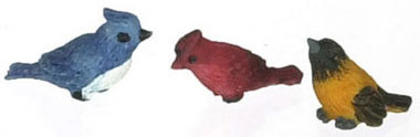 Song Birds