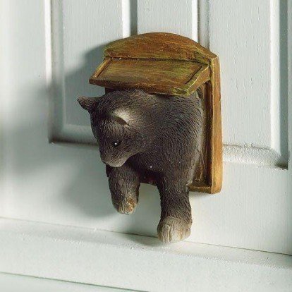 Cat in a Flap, View: Front