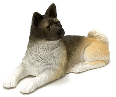 Akita