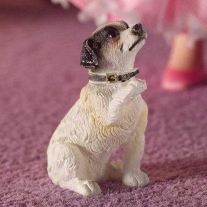 Jack Russell Pawing