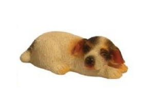 Jack Russell - Small, Laying
