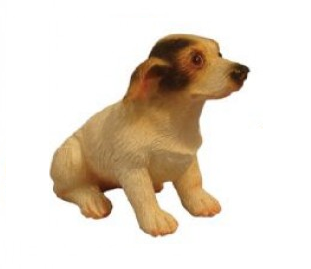 Jack Russell - Small, Sitting