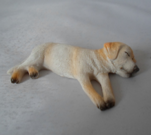 Labrador - Sleeping