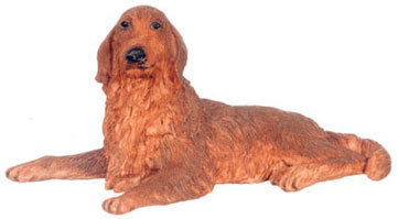 Irish Setter - Brown