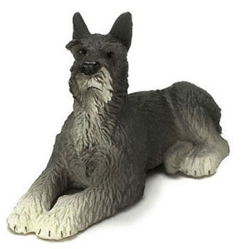 Schnauzer, Giant