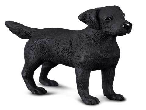 Labrador - Standing, Black