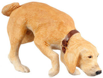 Sniffing Dog