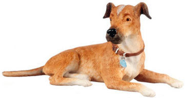 Dog - Laying