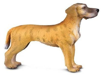 Great Dane Standing