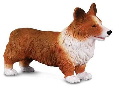 Corgi, Welsh