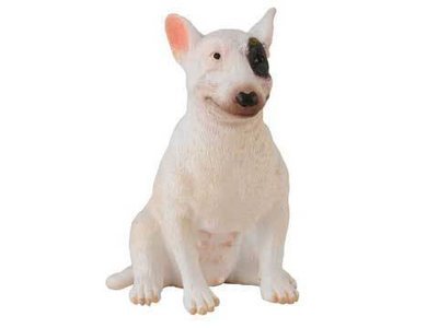 Bull Terrier