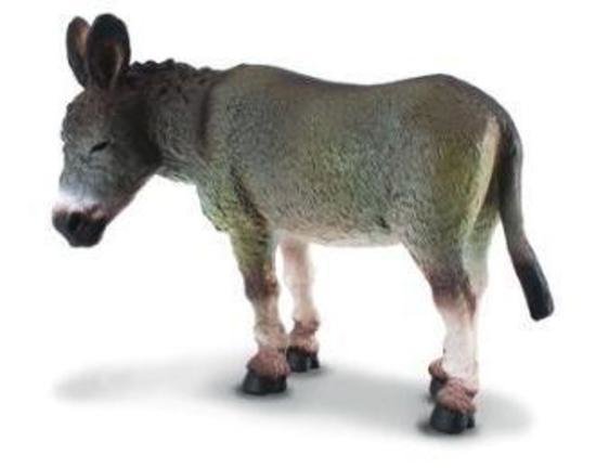 Donkey