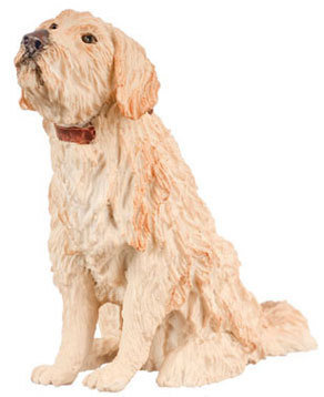 Golden Retriever - Sitting (Falcon)