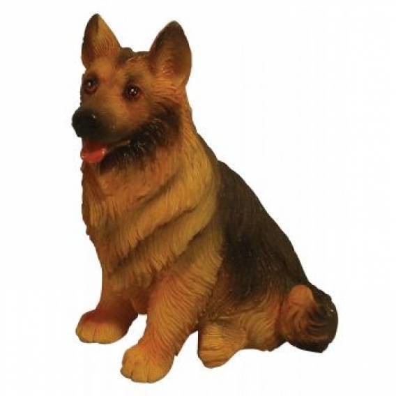 German Shepherd - Sitting