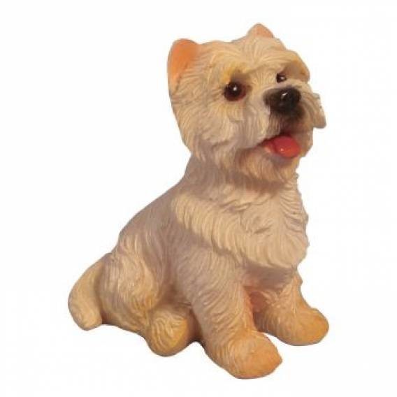 Westie - Sitting