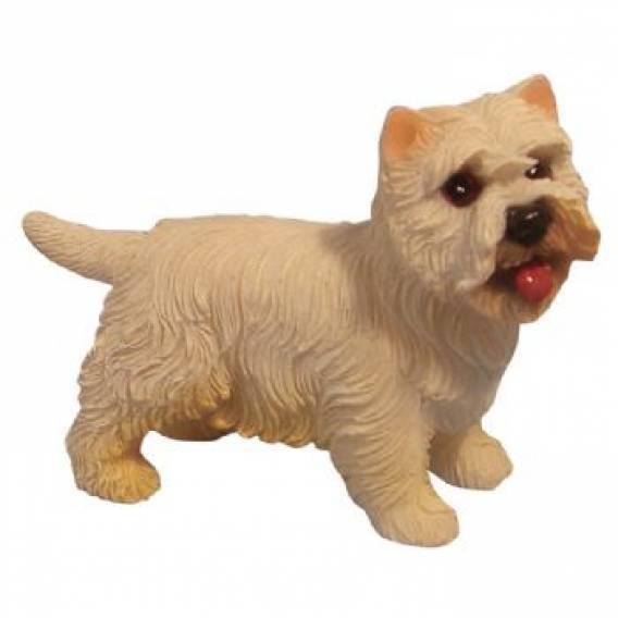 Westie - Standing