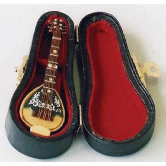 Mandolin in Case