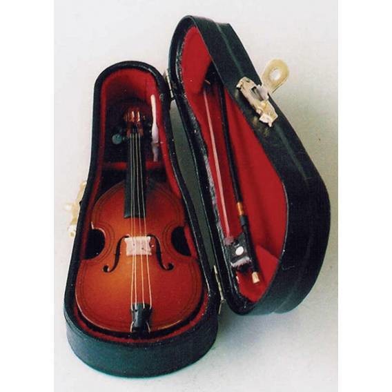 Cello in Case