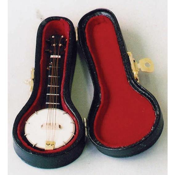 Banjo in Case