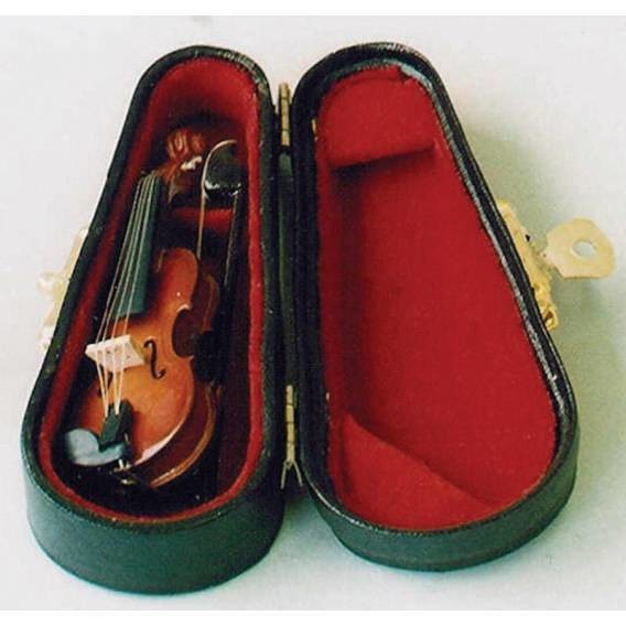 Violin in Case