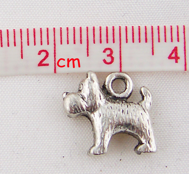 Dog Standing