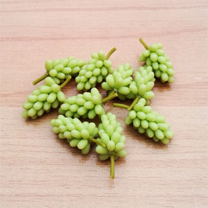 Fruit - Bunch of Grapes