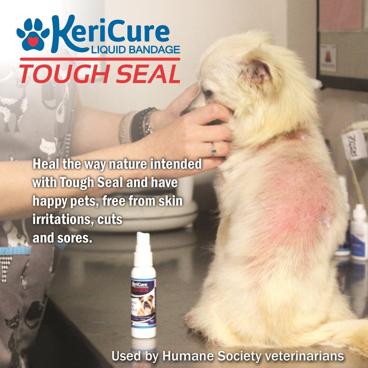 Liquid bandage spray for dogs online