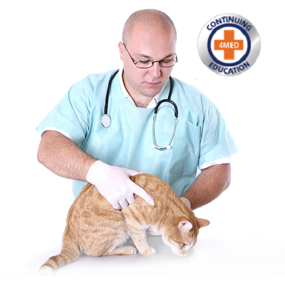 Certificate of Veterinary Compassionate Care Proficiency (CVCCP)