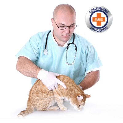 RECORDED WORKSHOP: Become a Certified Veterinary Compassionate Care Specialist