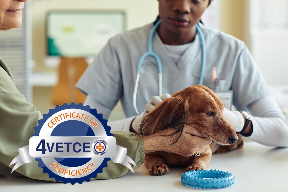 Certificate of Veterinary Compassionate Care Proficiency (CVCCP) with interactive AI Client Exercise