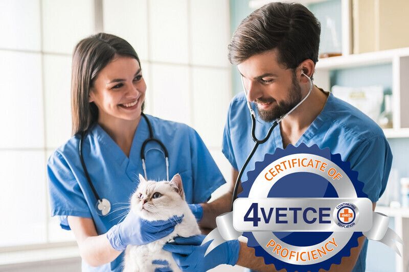 Certificate of Electronic Vet Record/EVMR Proficiency (CEVMRP)