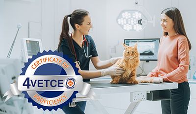 Certificate of Electronic Vet Record/EVMR Proficiency  (CEVMRP) with digital documentation exercise