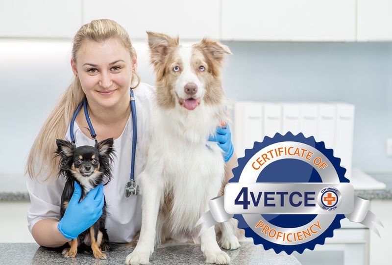 Certificate of Veterinary Telehealth Program Proficiency (CVTHPP)