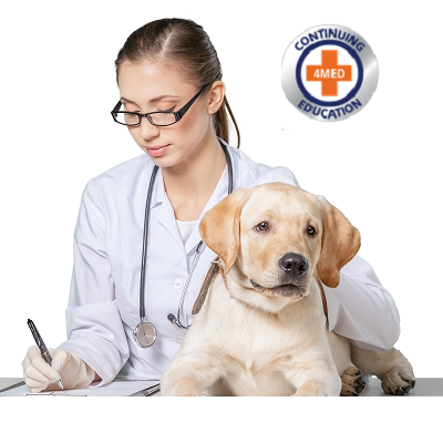  Certificate in Animal Care Foundational Learning Proficiency (CVFLP)
