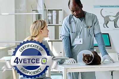 Certificate of Veterinary Compassionate Care Proficiency (CVCCP) with AI Client Exercise