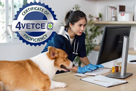 Certificate of Veterinary Practice Technology Proficiency (CVPTP) with interactive AI Exercise