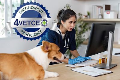 Certificate of Veterinary Practice Technology Proficiency (CVPTP) with interactive AI Exercise