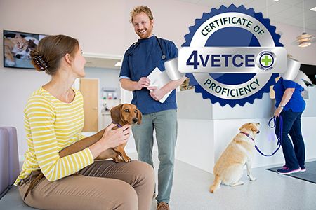 Certificate of Veterinary Practice Marketing Proficiency (CVPMP) with interactive AI Exercise
